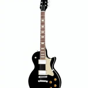 Avis de pro : Que vaut la guitare électrique Heritage Guitar Standard II H-150 Ebony ?