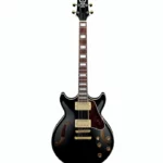 Découvrez notre avis de guitariste sur la Ibanez AM73G-BK