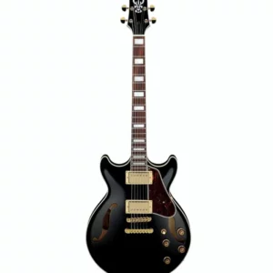 Découvrez notre avis de guitariste sur la Ibanez AM73G-BK