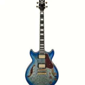 Ibanez AM93QA-JBB : Que pensent les guitaristes de ce modèle ?