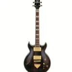 Guitare électrique Ibanez AR520HME-NT : Le test ultime et notre verdict