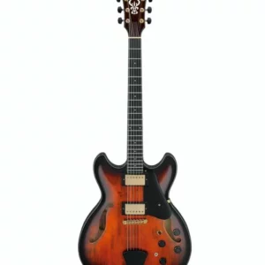 Ibanez ASH300-TBC : Caractéristiques, Prix et Avis d’expert