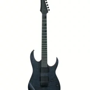 Ibanez GRGR221FA-TDK : Caractéristiques, Prix et Avis d’expert