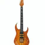 Test et avis détaillé de la guitare électrique Ibanez IV1RG Visions RG