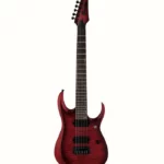 Que vaut vraiment la Ibanez RGD721FA-WUF ? Test, Micros et Essai