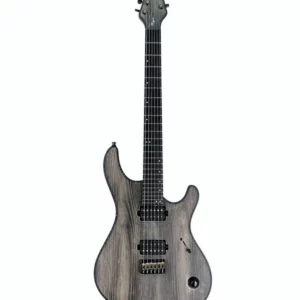 Toute la vérité sur la Mayones Guitars Regius 6 Gothic NAMM’26 : Avis, avantages et défauts
