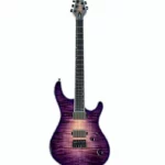 L’avis de notre expert sur la célèbre Mayones Guitars Regius 6 TPI