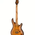 Test approfondi de la Mayones Guitars Regius Core 6 Aged Dirty SB (Avis 2026)