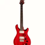 Guitare PRS SE DGT Standard Moons VC : Focus sur l’accastillage et Avis
