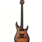 Avis, Test et Meilleur Prix pour la guitare Schecter C-1 Pale Moon SNBB