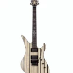 Schecter Synyster Std Plus FR GN : Analyse, Prix et Avis des utilisateurs