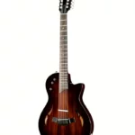 Taylor T5z Classic DLX,12-String,Reve : Le guide d’achat et notre avis complet