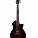 Avis sur la Taylor T5z Classic RW : Est-ce la meilleure guitare actuelle ?