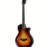 Que vaut vraiment la Taylor T5z Standard TS ? Test, Micros et Essai