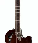 La basse acoustique Applause AEB4II-VV E-Acoustic Bass | Test, Avis & Comparatif