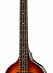 La basse acoustique Epiphone Viola Bass | Test, Avis & Comparatif
