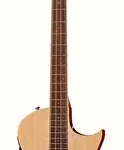La basse acoustique ESP LTD TL-4 Natural | Test, Avis & Comparatif