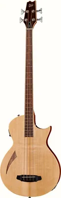 acoustique ESP LTD TL-4 Natural