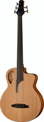 acoustique Furch Bc 61-5CM Fretless