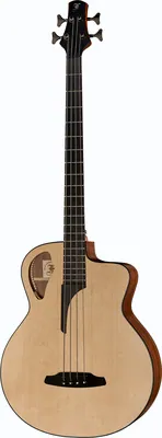 acoustique Furch Bc-62-SW