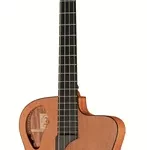 La basse acoustique Furch Bc61-4-CM | Test, Avis & Comparatif