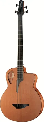 acoustique Furch Bc61-4-CM