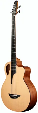 acoustique Furch Bc61-5 CM Acoustic Bass