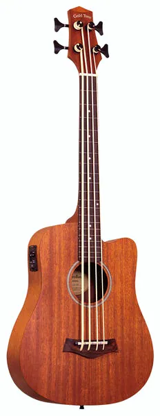 acoustique Gold Tone Micro Bass 23 Fretless w/Bag