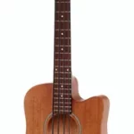 La basse acoustique Gold Tone Micro Bass 23 w/Bag B-Stock | Test, Avis & Comparatif