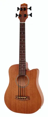 acoustique Gold Tone Micro Bass 23 w/Bag B-Stock