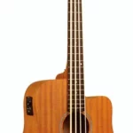 La basse acoustique Gold Tone Micro Bass 25 w/Bag | Test, Avis & Comparatif