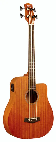 acoustique Gold Tone Micro Bass 25 w/Bag
