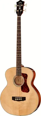 acoustique Guild B-140E Nat Westerly