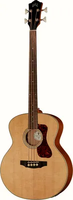 acoustique Guild B-240EF Acoustic Bass