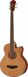 acoustique Ibanez AEB105E-NT Acoustic Bass