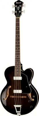 acoustique Ibanez AFB200-TKS