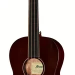 La basse acoustique Ibanez AVNB1FE-BV Artwood Bass | Test, Avis & Comparatif
