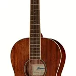 La basse acoustique Ibanez PNB14E-OPN Acoustic Bass | Test, Avis & Comparatif