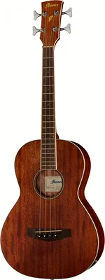 acoustique Ibanez PNB14E-OPN Acoustic Bass