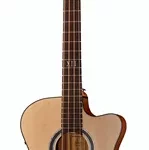 La basse acoustique Ortega D538-4 | Test, Avis & Comparatif