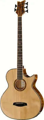 acoustique Ortega KTSM-5 Ken Taylor