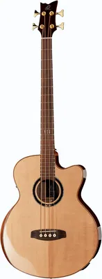 acoustique Ortega StripeDSU-ACB