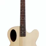 La basse acoustique Spector Timbre NA | Test, Avis & Comparatif