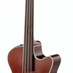 La basse acoustique Takamine TB10 | Test, Avis & Comparatif