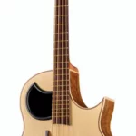 La basse acoustique Warwick Alien 4 NT | Test, Avis & Comparatif