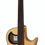 La basse acoustique Warwick Alien 5 fretless | Test, Avis & Comparatif