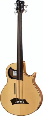 acoustique Warwick Alien 5 fretless