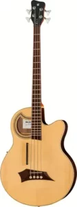 acoustique Warwick Alien Deluxe 4 Hybrid Thinline