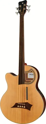 acoustique Warwick Alien Deluxe 4 LH FL NT