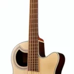 La basse acoustique Warwick Alien Deluxe 5 NT | Test, Avis & Comparatif